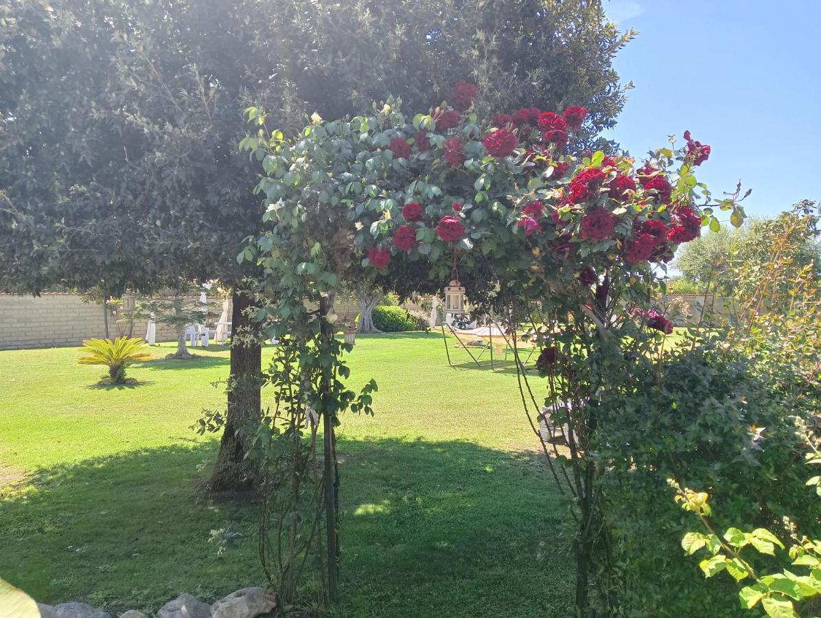 Elegance B&B Ladispoli Buitenkant foto