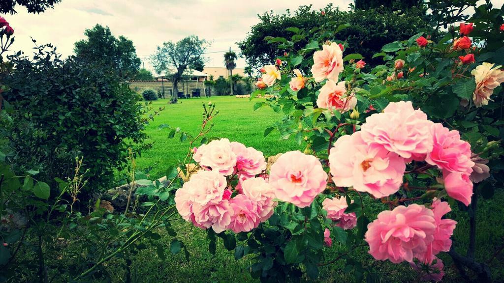 Elegance B&B Ladispoli Buitenkant foto