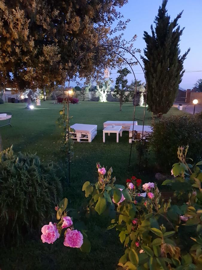 Elegance B&B Ladispoli Buitenkant foto